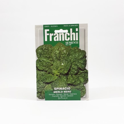 Picture of Spinach/Spinacio - (Merlo Nero) 5g