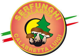 Serfunghi Calabria