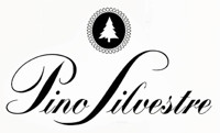 Pino Silvestre