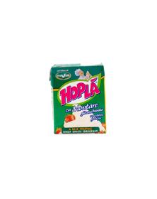 Picture of Hopla Whipping Cream Small (200ml)